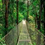 Costa Rica - Destination of the Year 2024